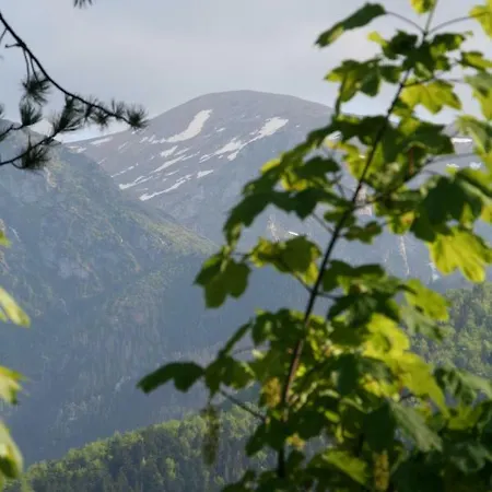Ubocz Willa Zakopane